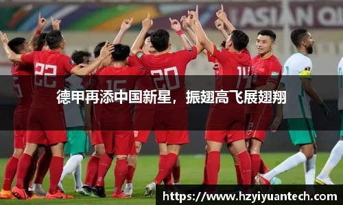 球速体育平台登录入口