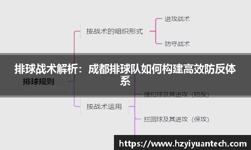 球速体育官方