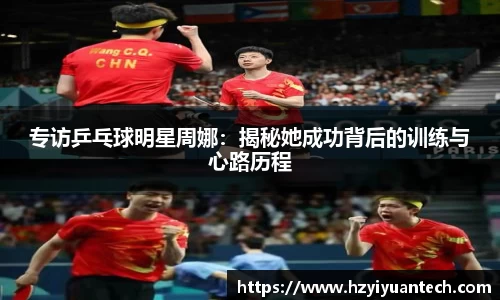 球速体育平台登录入口