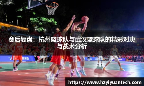 球速体育官方