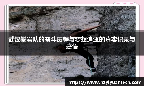 球速体育