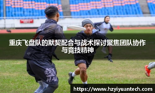 球速体育平台登录入口
