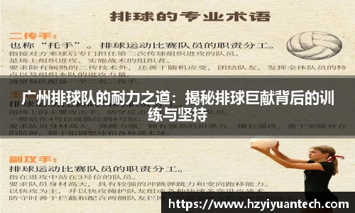 球速体育官方