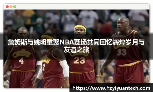 球速体育平台登录入口