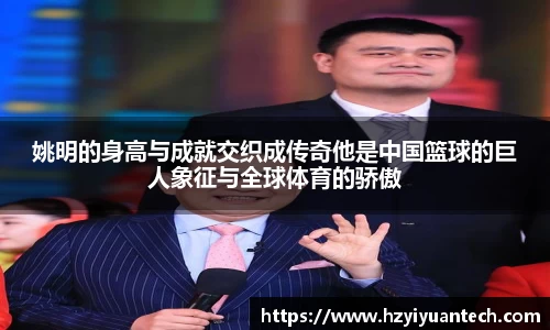 球速体育平台登录入口