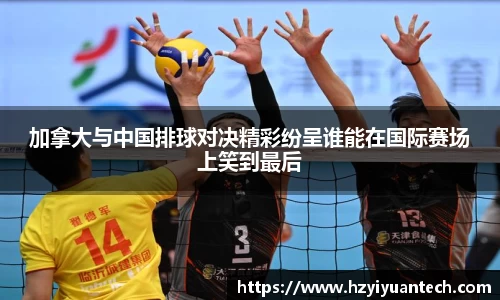 球速体育平台登录入口