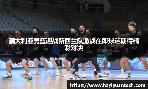 球速体育平台登录入口