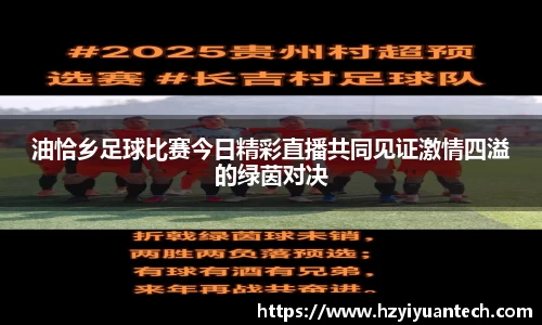 球速体育平台登录入口