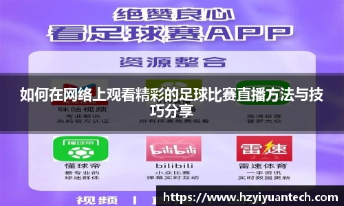 球速体育官方